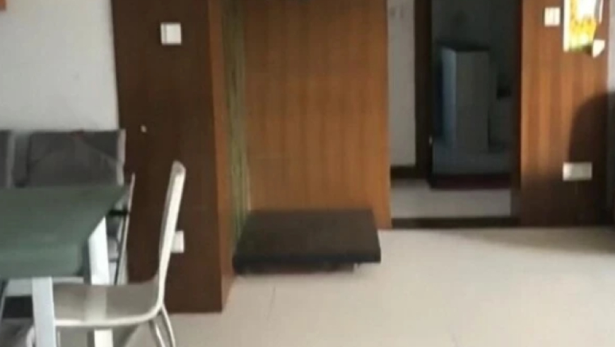 手机123澳门正版资料大全,绯闻女孩乔治娜演员去世,精准解释落实的人生哲理_破例版V2.55