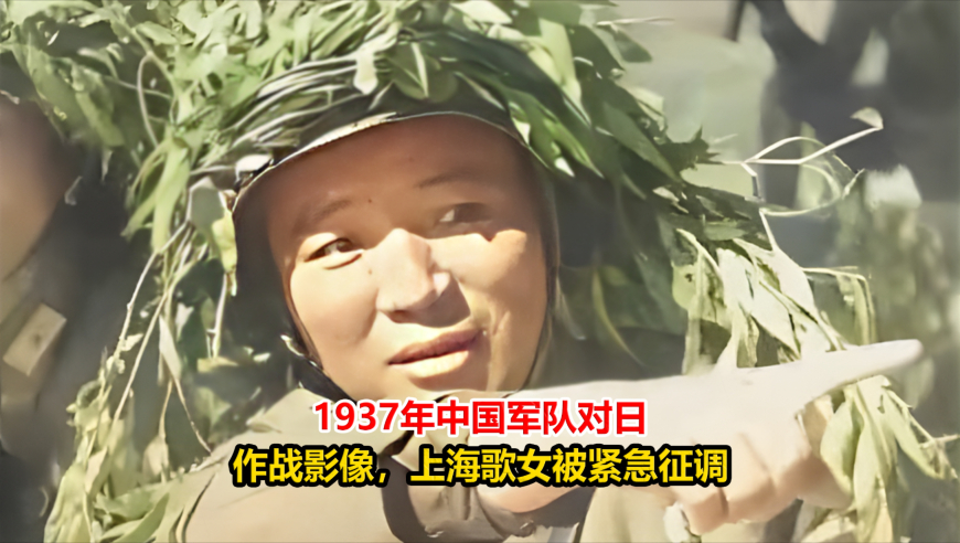2025澳门新资料朱雀网,来自星星的你男主角或被控强奸罪,整体规划执行讲解_创新版V8.26